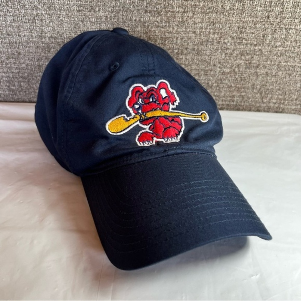 Nike Saginaw Bay Riverdawgs‎ Youth Baseball Hat Navy Color Adjustable One Size